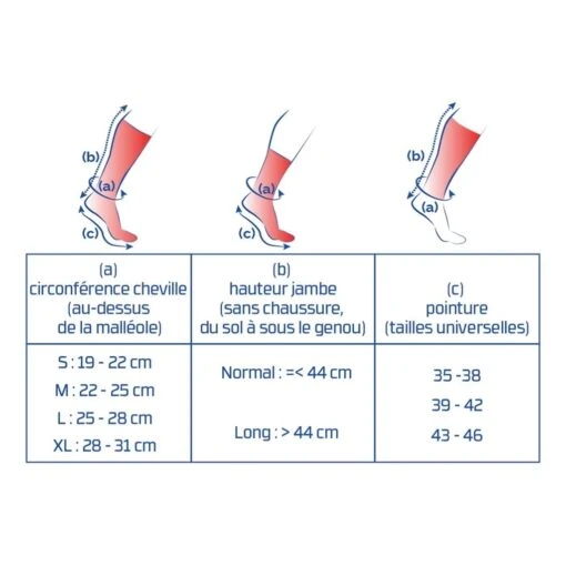 Thuasne Chaussettes Longues Run/Trail Up Activ (Normale) Femme Bleu – Image 2