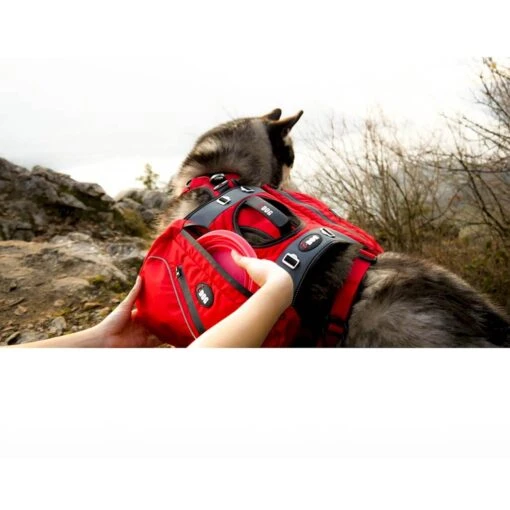 I-Dog Sacoches Pour Harnais Confort Trek – Image 2