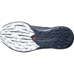 Salomon Pulsar Trail Pro 2 Femme Noir -Vêtements De Sport main L47129100 7 GHO PULSAR TRAIL 2 PRO WCarbon Orchid Bloom Arctic Ice.png.hi 9e4d