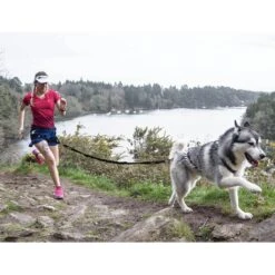 I-Dog Longe Traction Noir -Vêtements De Sport main photo pres longe I DOG 02 1 1 fced