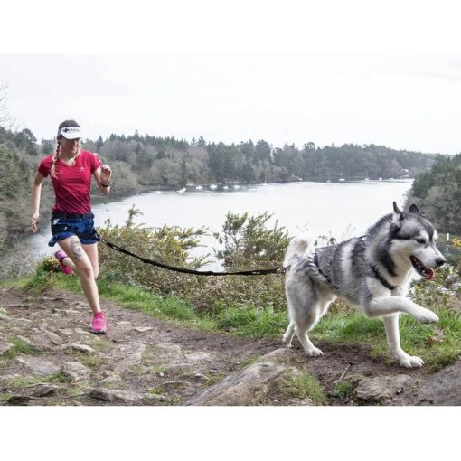 I-Dog Longe Traction Noir – Image 4