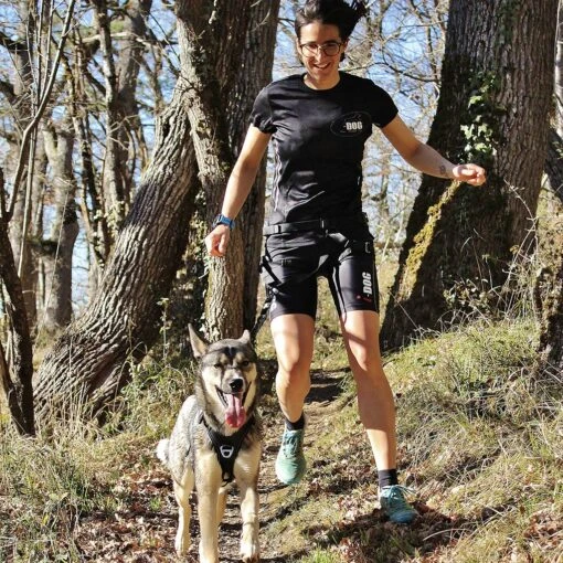 I-Dog Longe Traction Noir – Image 2